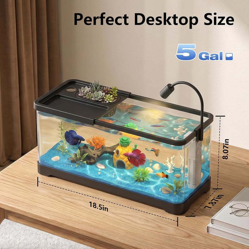 5 Gallon Fish Tank Aquarium Starter Kit with Filter and Light(Large Black)