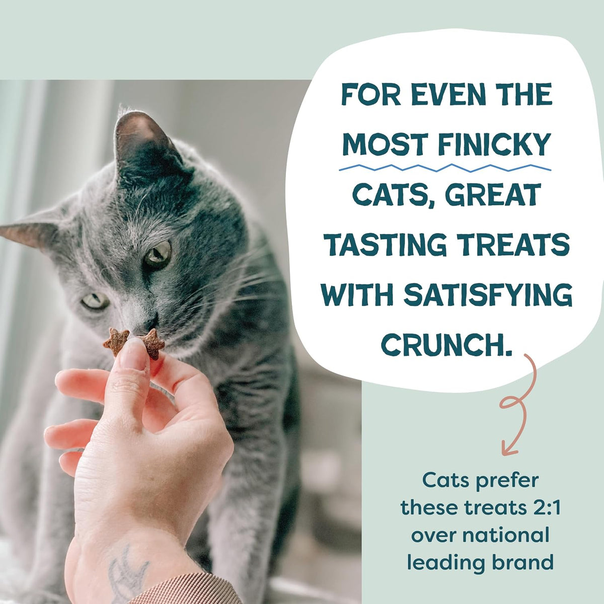 Shameless Pets Crunchy inCat Treats - Kitty Treats for Cats with Skin & Coat Support, Natural Ingredients Kitten Treats with Real Salmon, Healthy Flavored Feline Snacks - Yam Good Salmon, 1-Pk