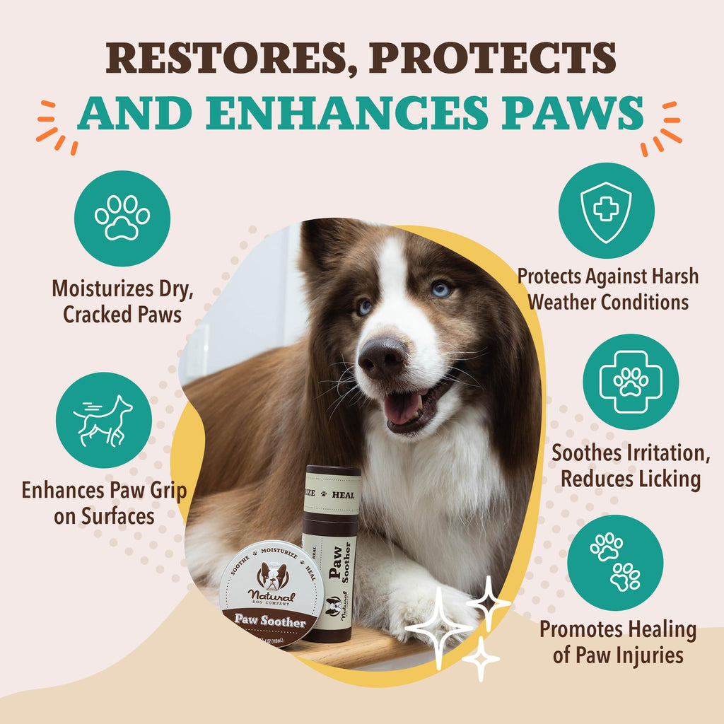 Natural Dog Company PawTection Dog Paw Wax – 0.15 oz Stick