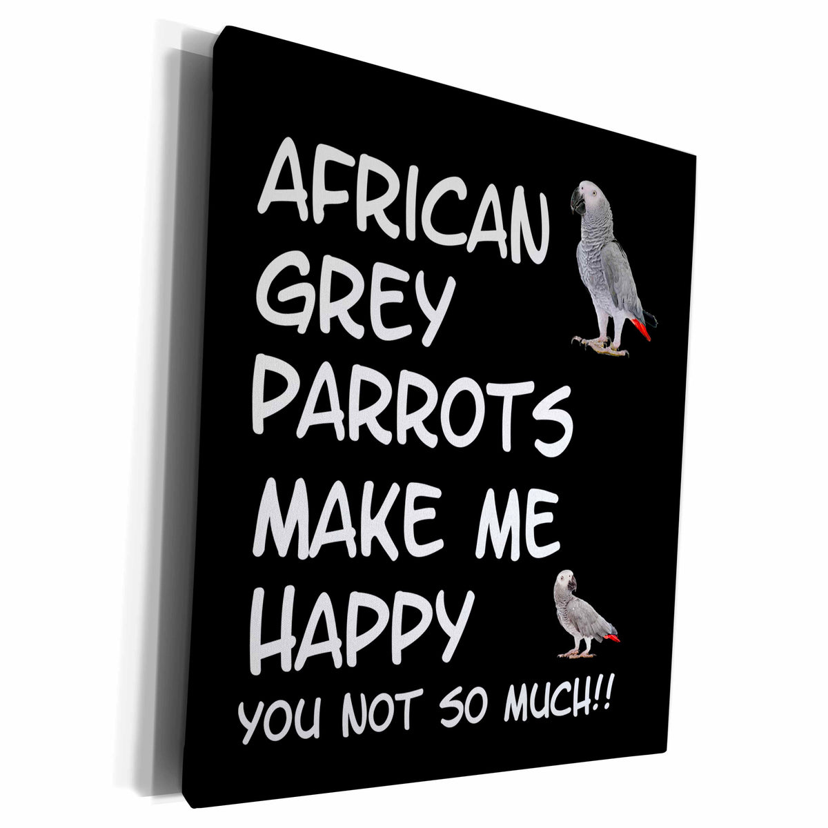 3dRose African Grey Parrots Make me Happy You not so Much - Museum Grade Canvas Wrap (cw_306937)