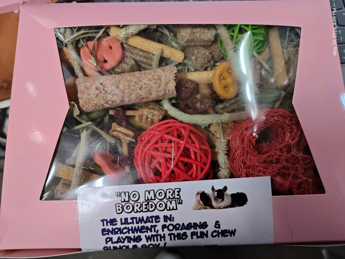 Fun ,Forage & Chew "No More Boredom" Box - Chinchillas, Guinea Pigs, Rabbits