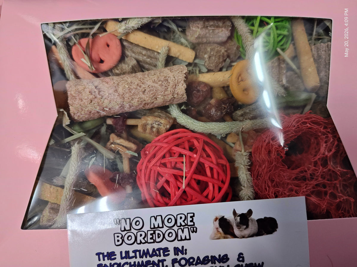 Fun ,Forage & Chew "No More Boredom" Box - Chinchillas, Guinea Pigs, Rabbits