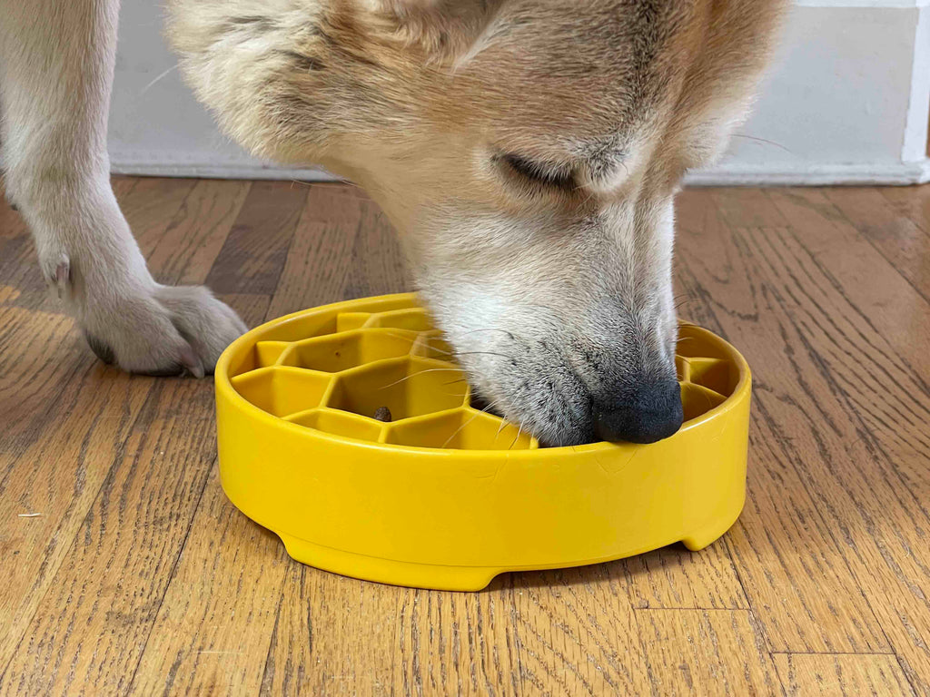 Honeycomb eBowl Deep Slow Feeder Dog Bowl for Enrichment | USA Made