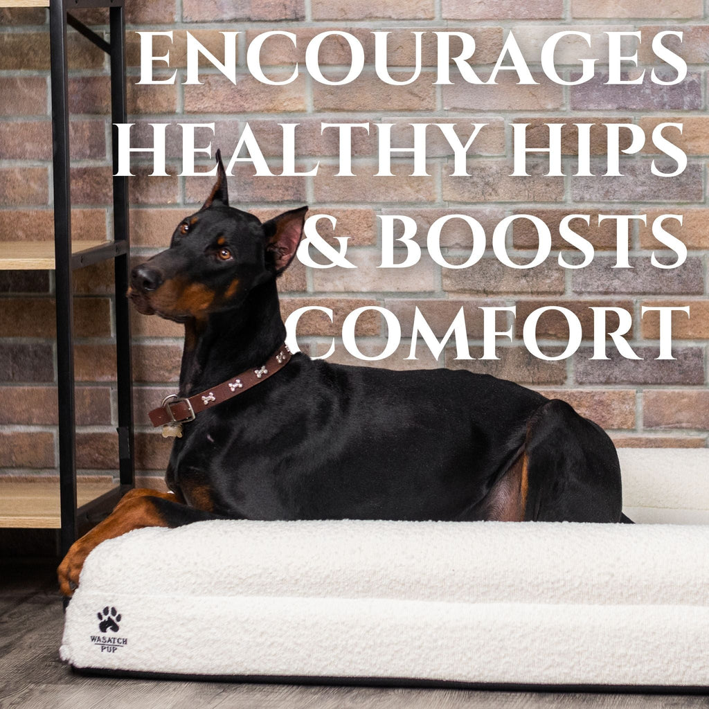 Luxury Orthopedic Dog Bed