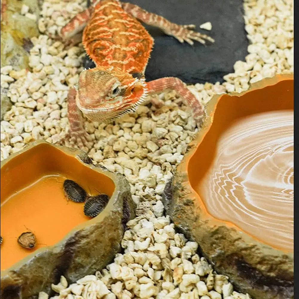 Rock-Style Resin Food & Water Bowl for Reptiles
